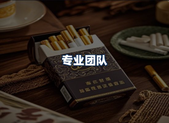 专业团队